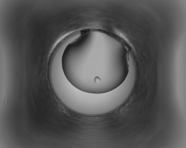 X0000084521312200703231622