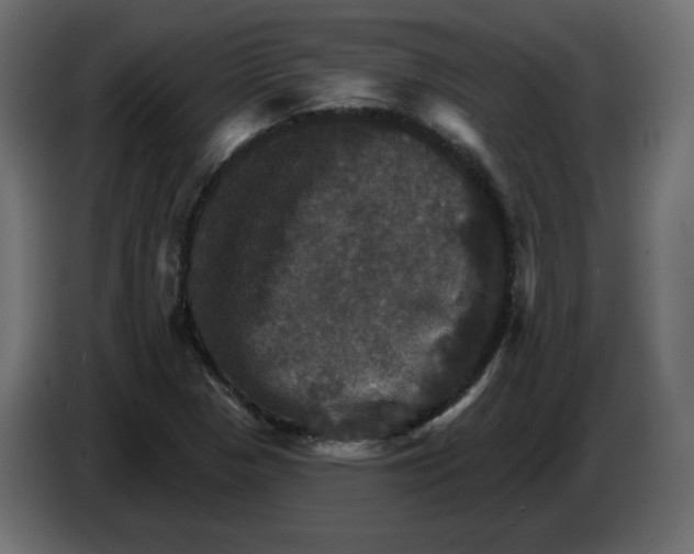 X0000084521313200703231622