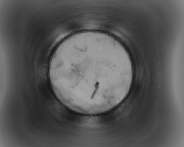 X0000084521314200703231622
