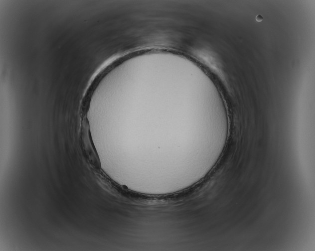 X0000084521316200703231622