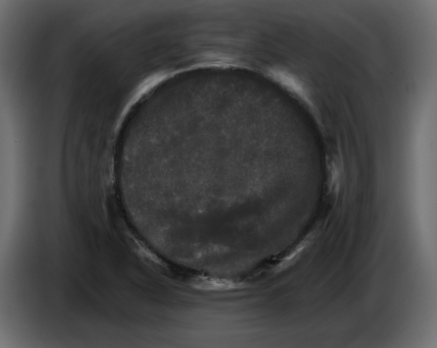 X0000084521318200703231622