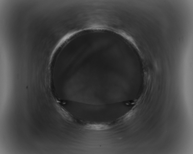 X0000084521319200703231622