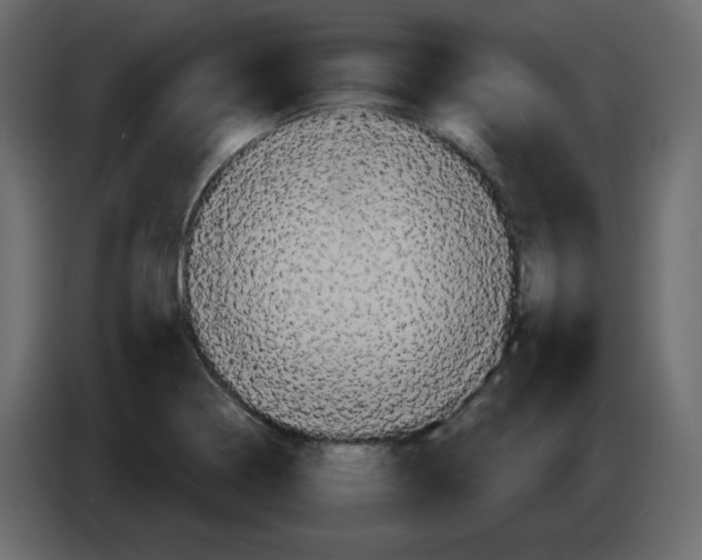 X0000084521322200703231622
