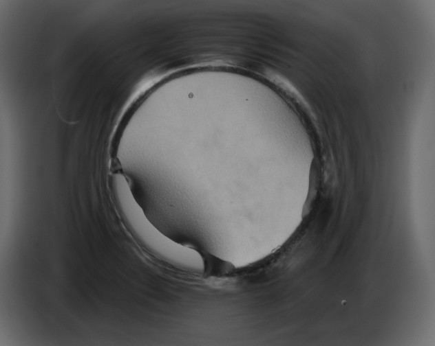 X0000084521324200703231622