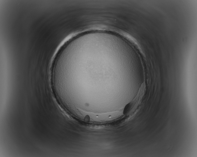 X0000084521326200703231622