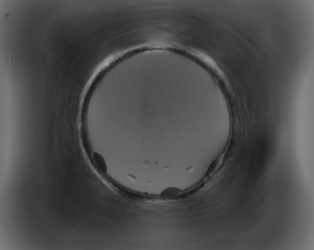 X0000084521327200703231622