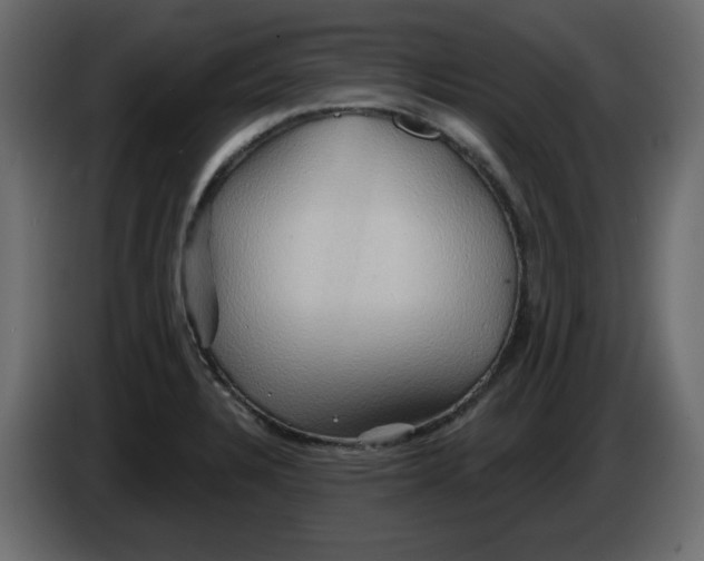 X0000084521328200703231622