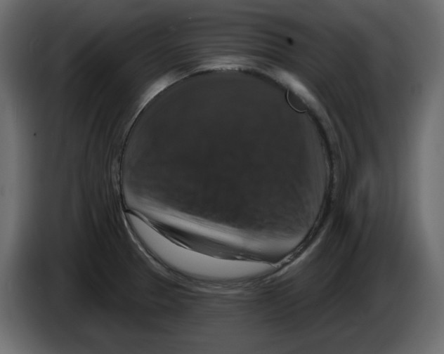 X0000084521329200703231622