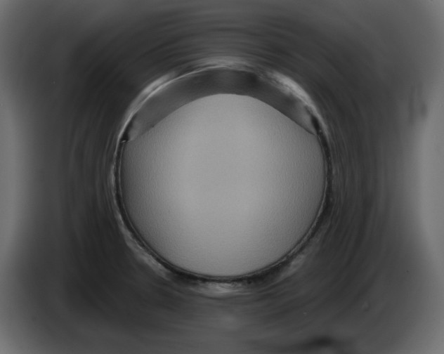 X0000084521330200703231622