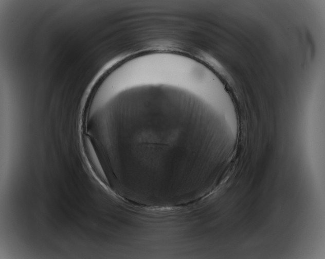 X0000084521331200703231622