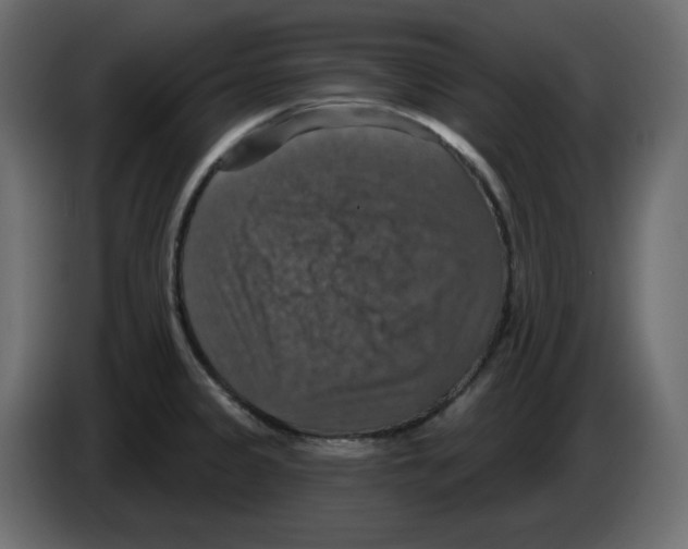 X0000084521333200703231622