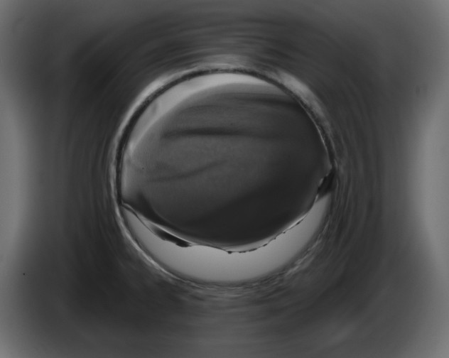 X0000084521334200703231622