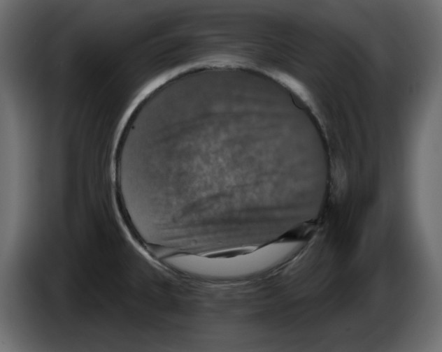 X0000084521335200703231622