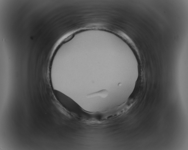 X0000084521336200703231622