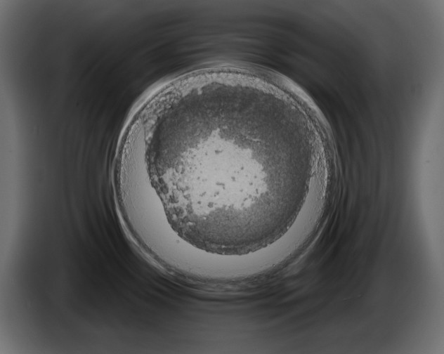 X0000084521338200703231622