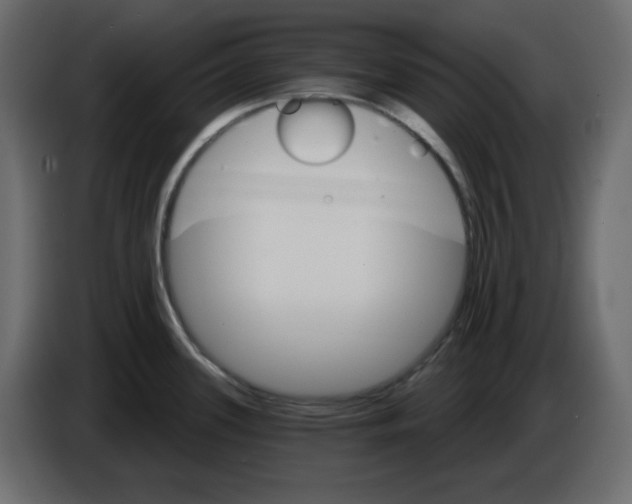 X0000084521339200703231622