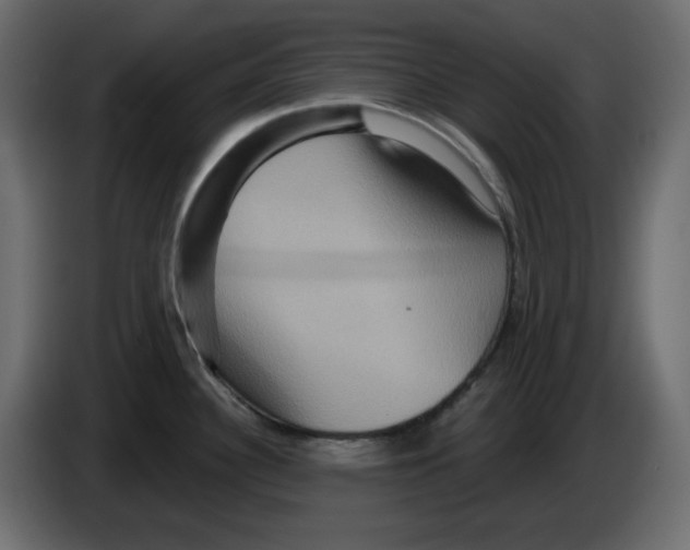 X0000084521340200703231622