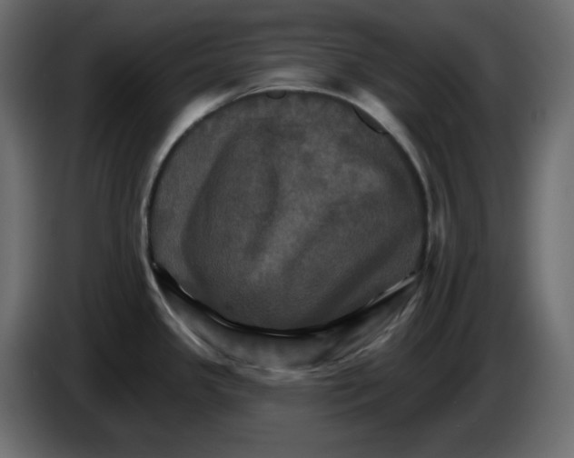 X0000084521341200703231622