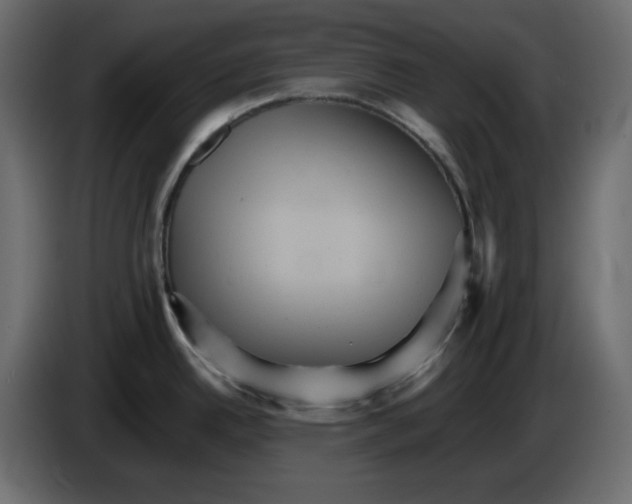 X0000084521342200703231622