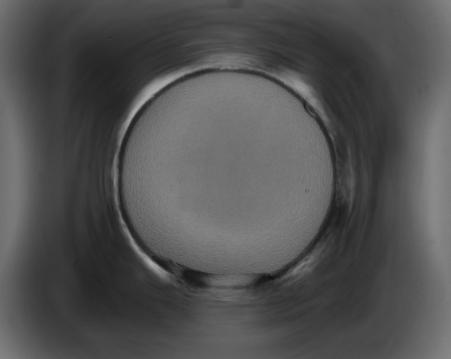 X0000084521343200703231622
