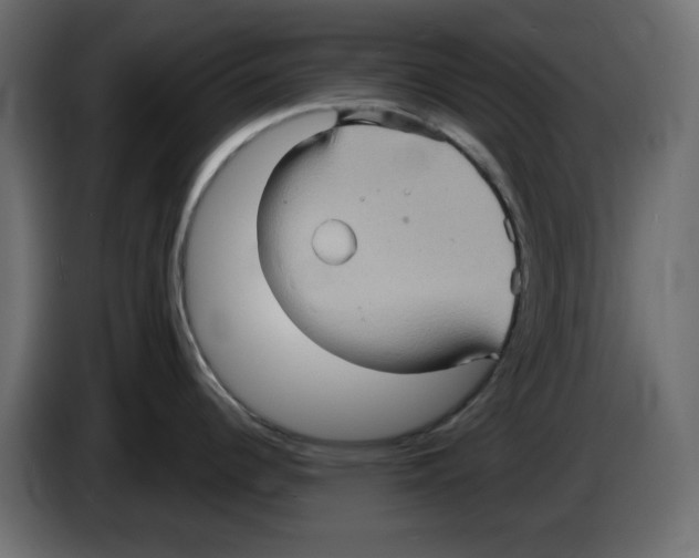 X0000084521344200703231622