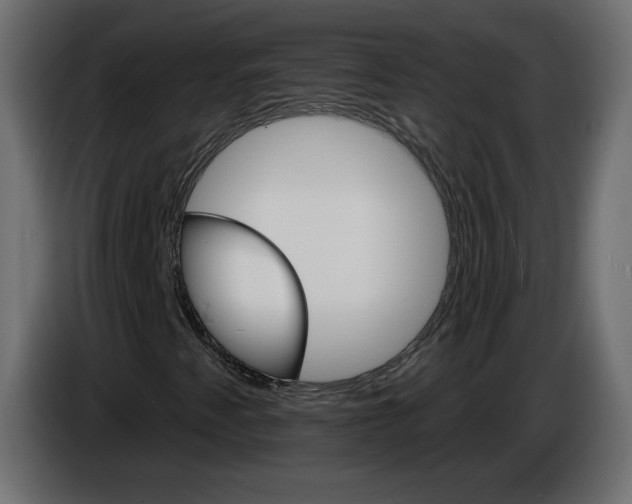 X0000084521345200703231622