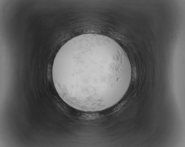 X0000084521346200703231622