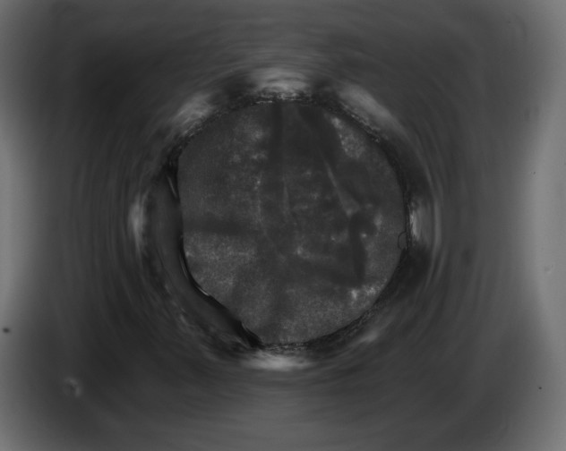 X0000084521347200703231622