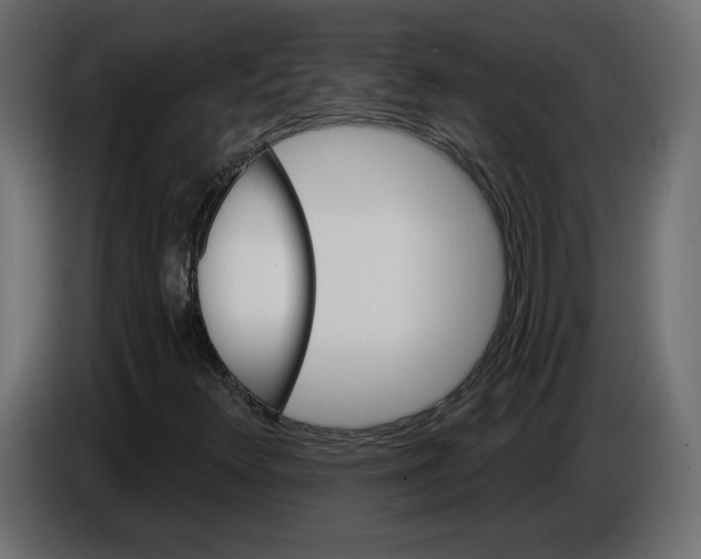 X0000084521348200703231622