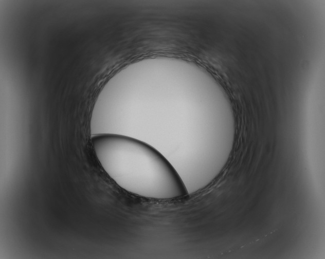 X0000084521349200703231621