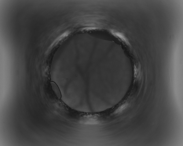 X0000084521351200703231621
