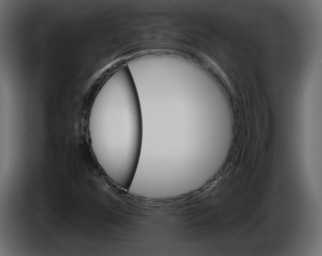 X0000084521352200703231621