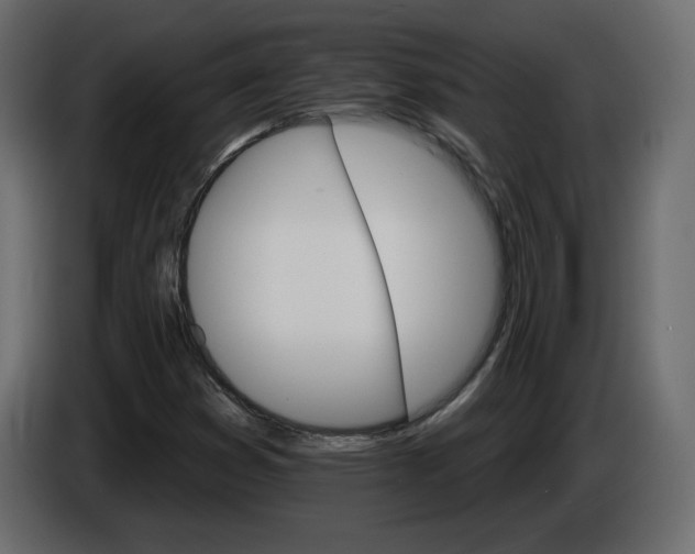 X0000084521353200703231621