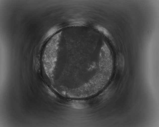 X0000084521354200703231621