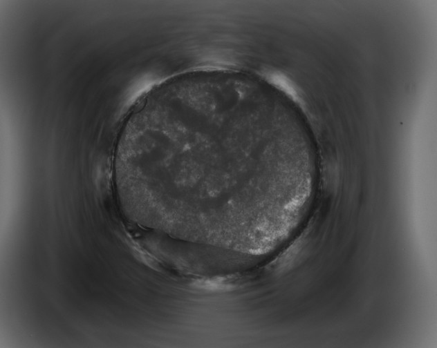 X0000084521355200703231621