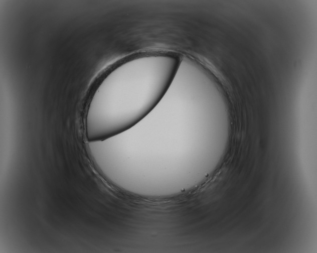 X0000084521356200703231621