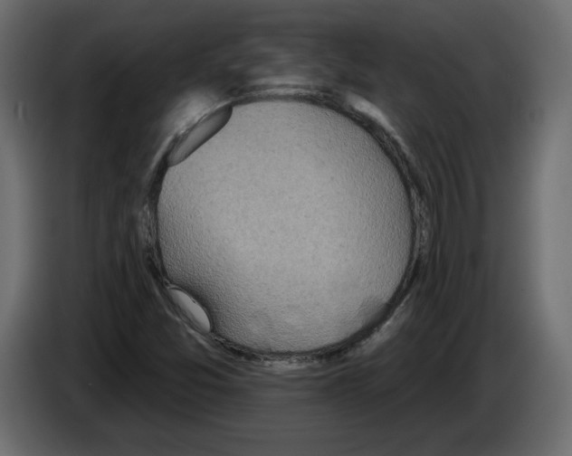 X0000084521357200703231621