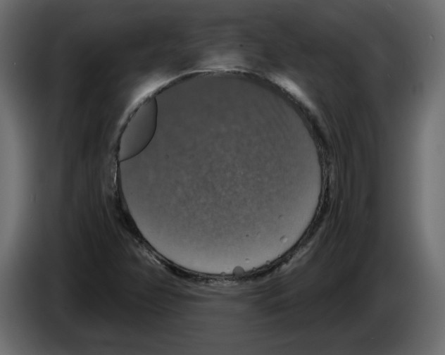 X0000084521358200703231621