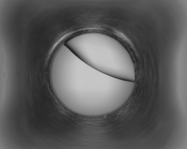 X0000084521360200703231621