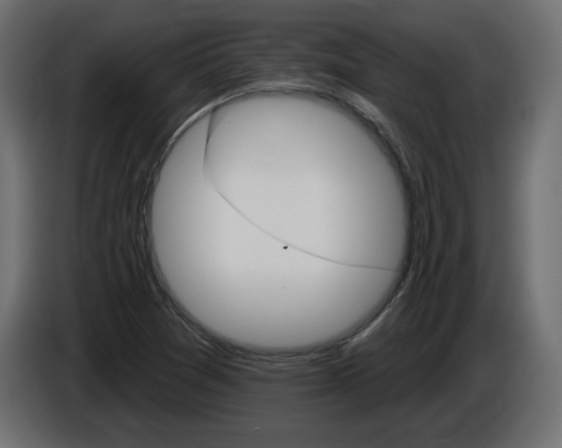 X0000084521361200703231621