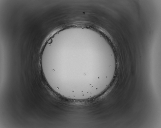 X0000084521362200703231621