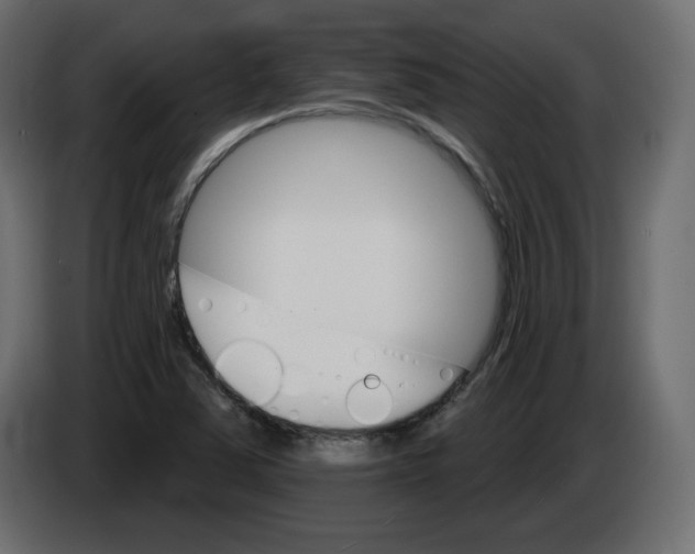 X0000084521363200703231621