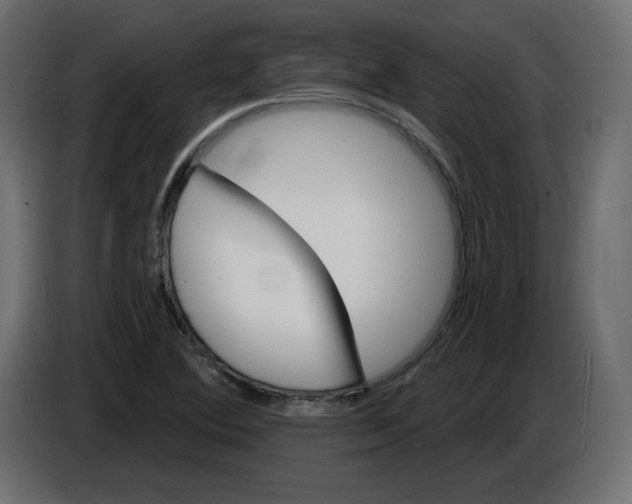 X0000084521364200703231621