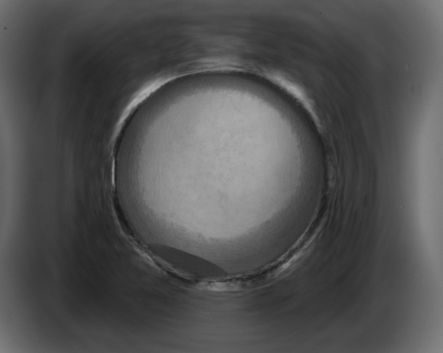 X0000084521365200703231621