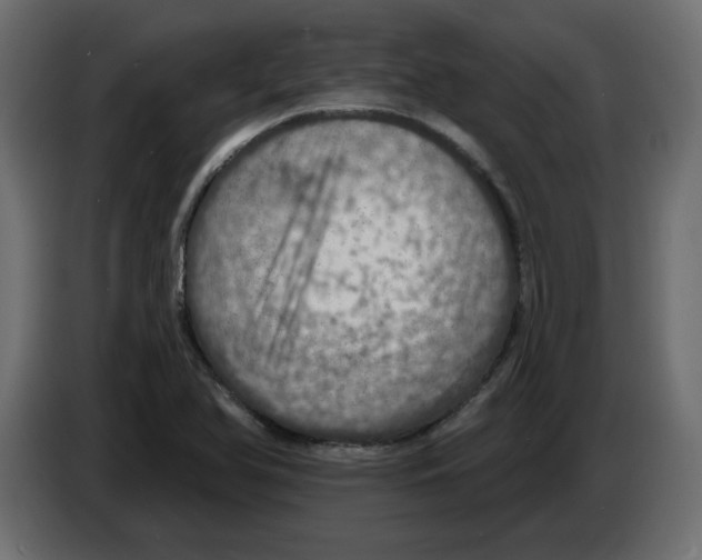 X0000084521366200703231621