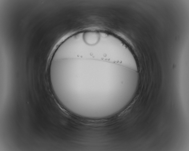 X0000084521367200703231621