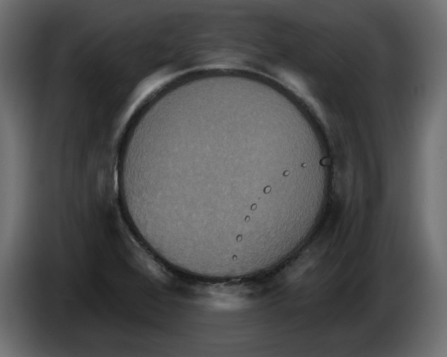 X0000084521368200703231621