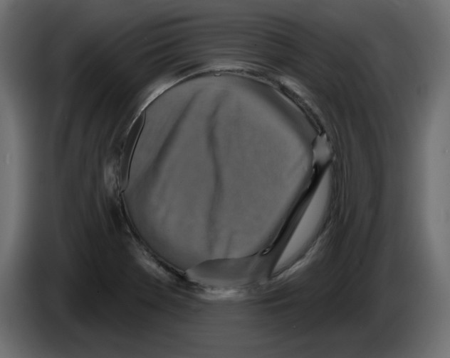 X0000084521369200703231621
