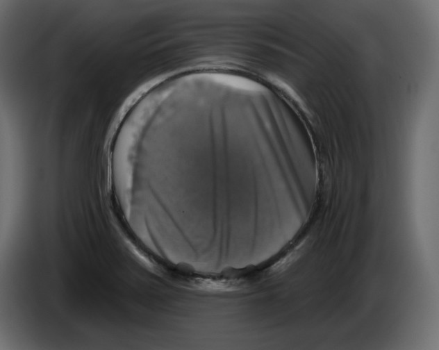 X0000084521371200703231621