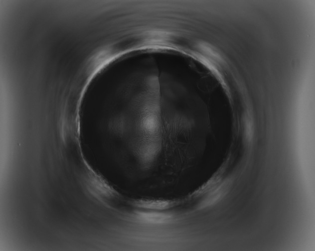 X0000084521372200703231621